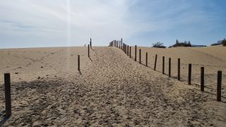 2023-GC-Dunas_Maspalomas-177.jpg